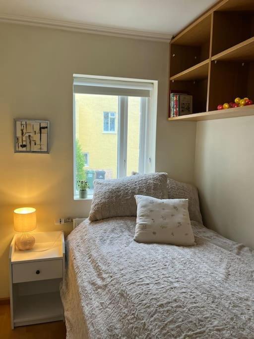 Charming 3 Bedroom Apartment Akureyri Luaran gambar
