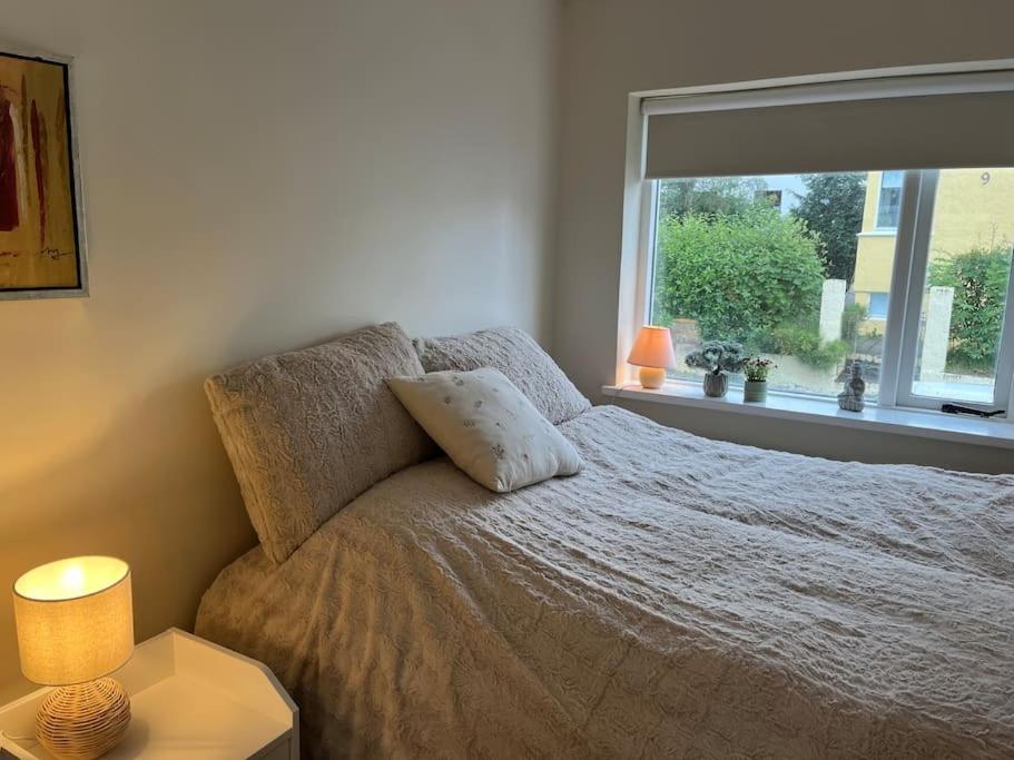 Charming 3 Bedroom Apartment Akureyri Luaran gambar